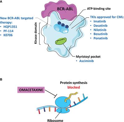 Frontiers Potential Approaches Versus Approved Or Developing Chronic